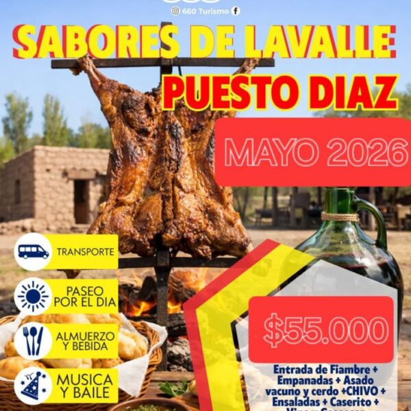 LAVALLE PUESTO DIAZ MAYO 🚌🧉