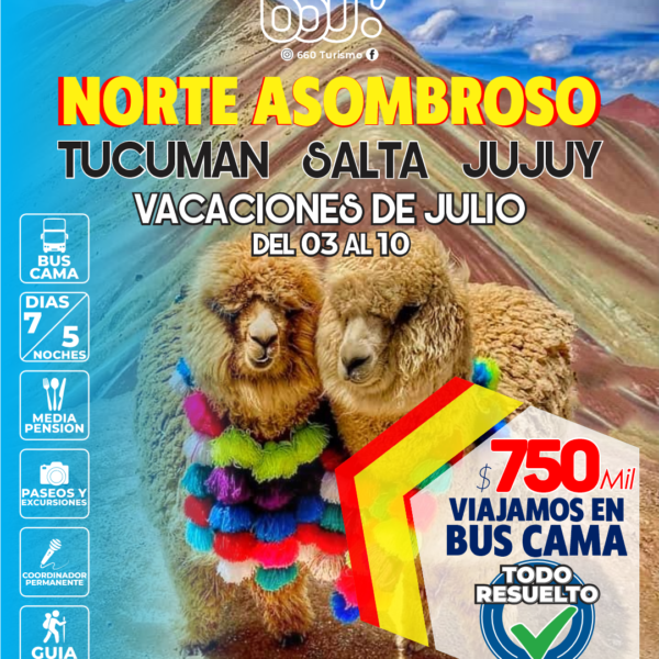 JULIO BUS CAMA NORTE 🦙🌵